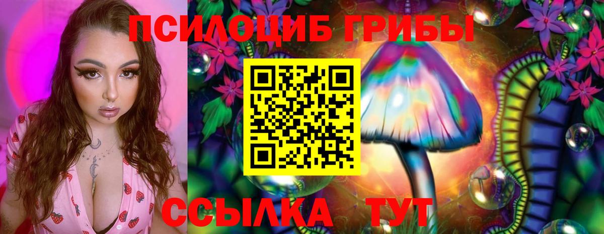 Галлюциногенные грибы Cubensis Славгород